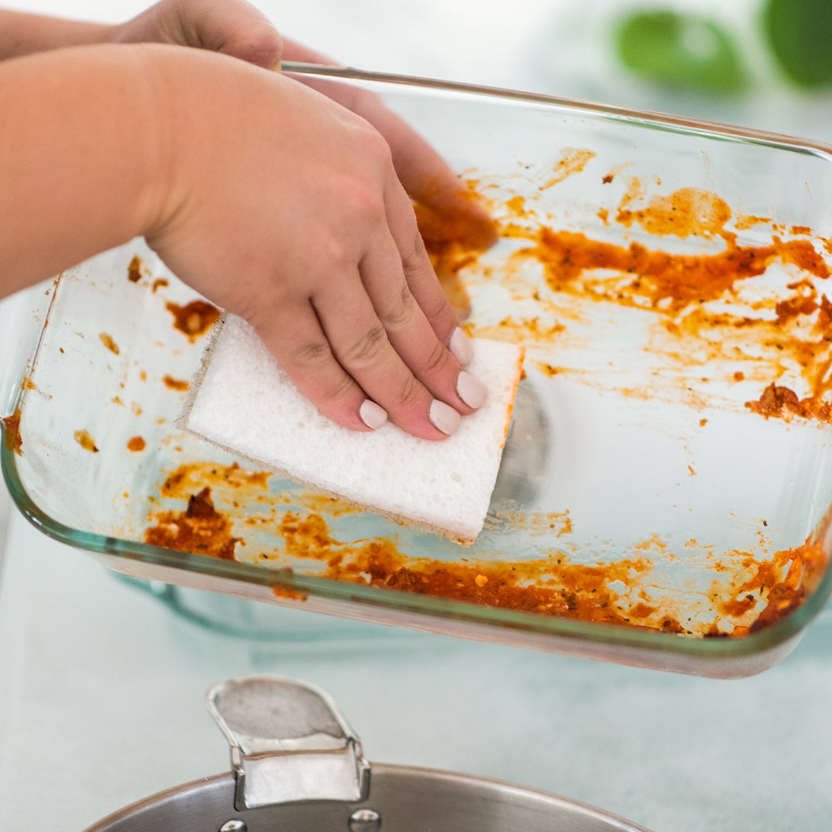 10082702fc-cleana20colada-ven2